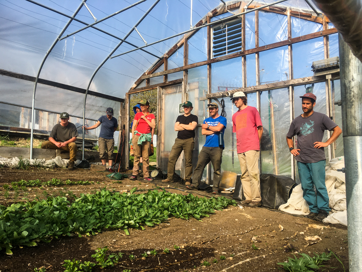 Six people stand in a hoop house, lined up listening to someone out of frame