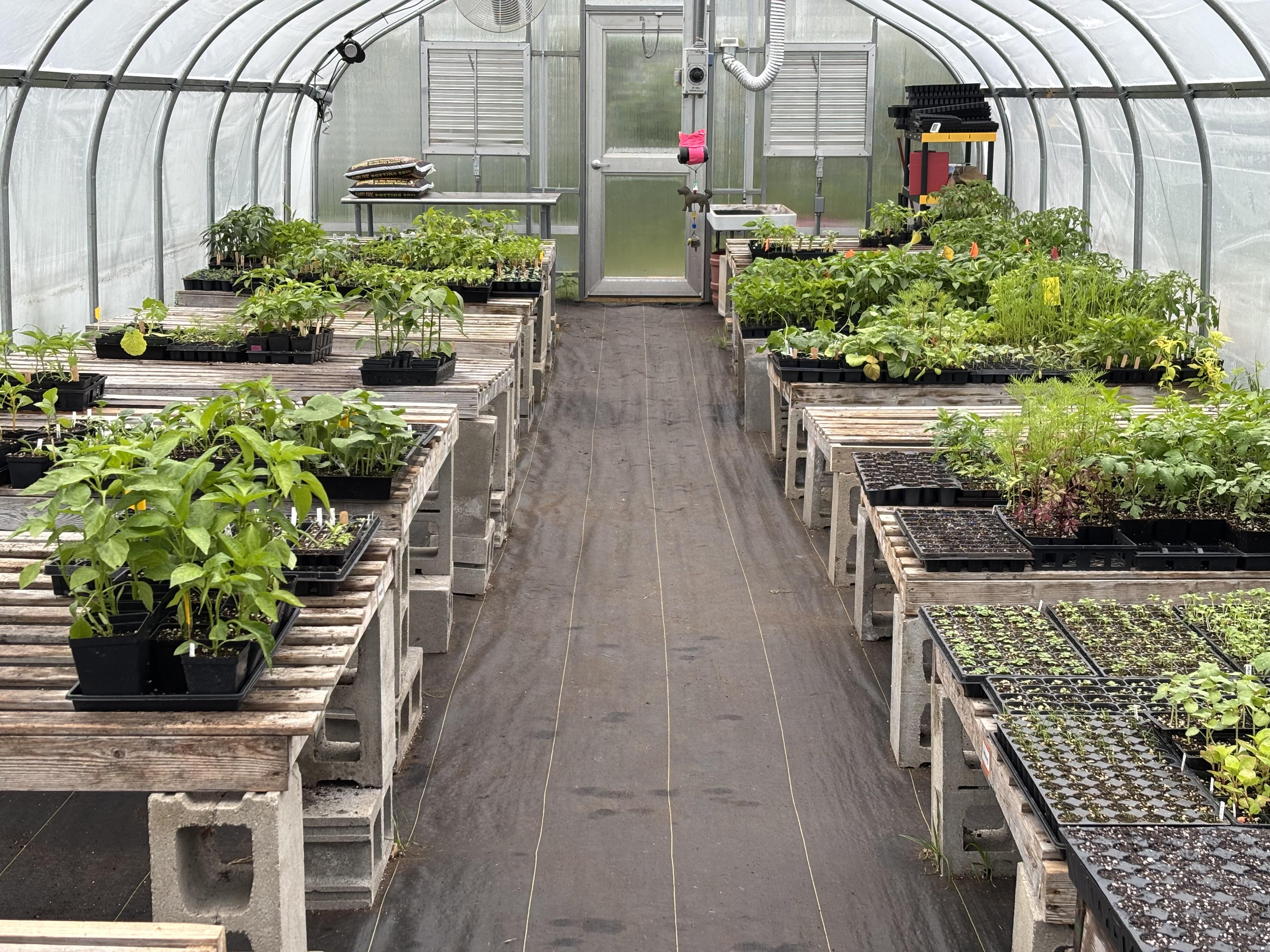 Greenhouse at Landry Park