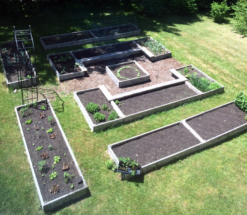 The NOFA-VT garden, as seen from the 2nd floor conference room in late May 2016