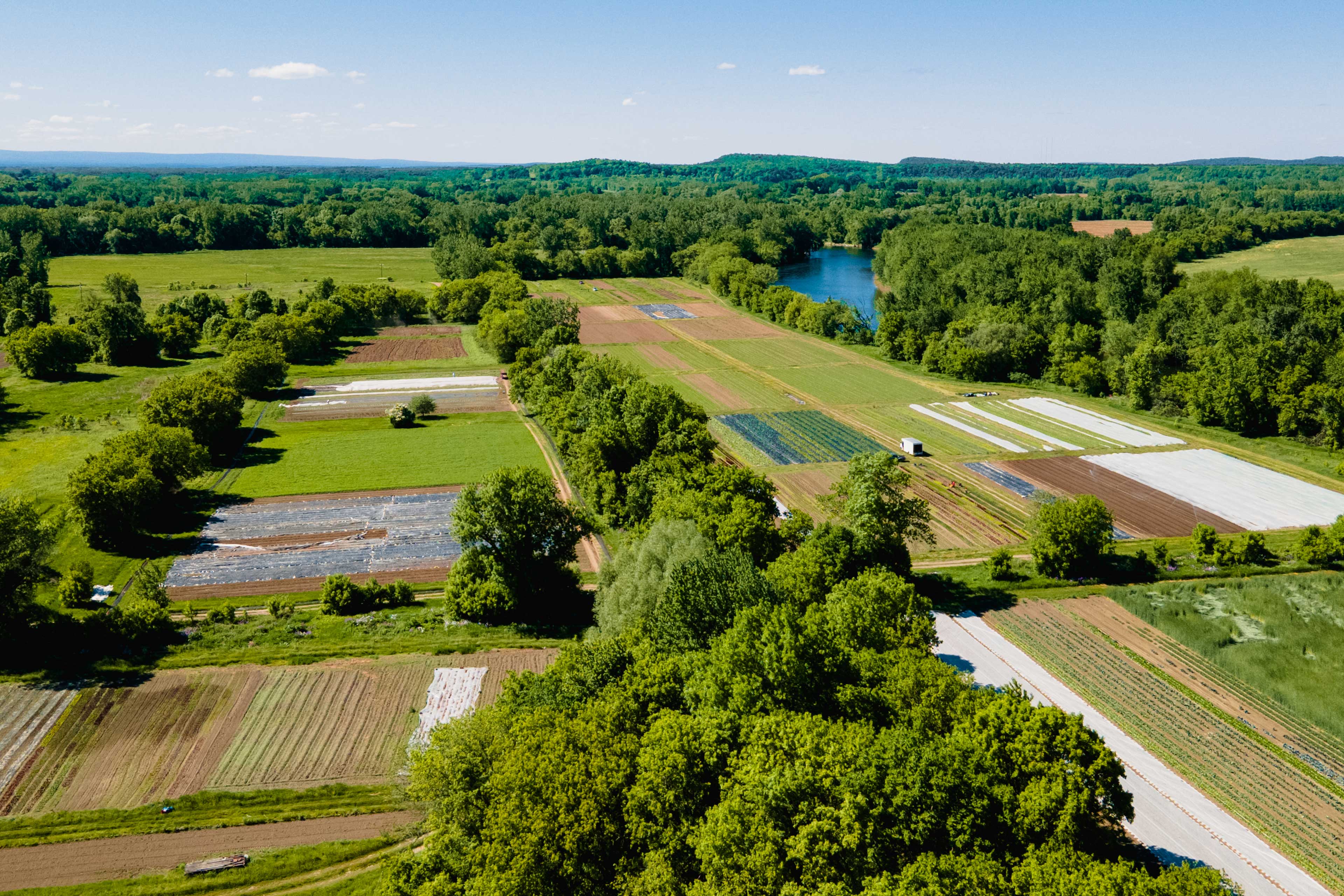 Intervale Community Farm and Digger's Mirth Collective Farm as seen from the air