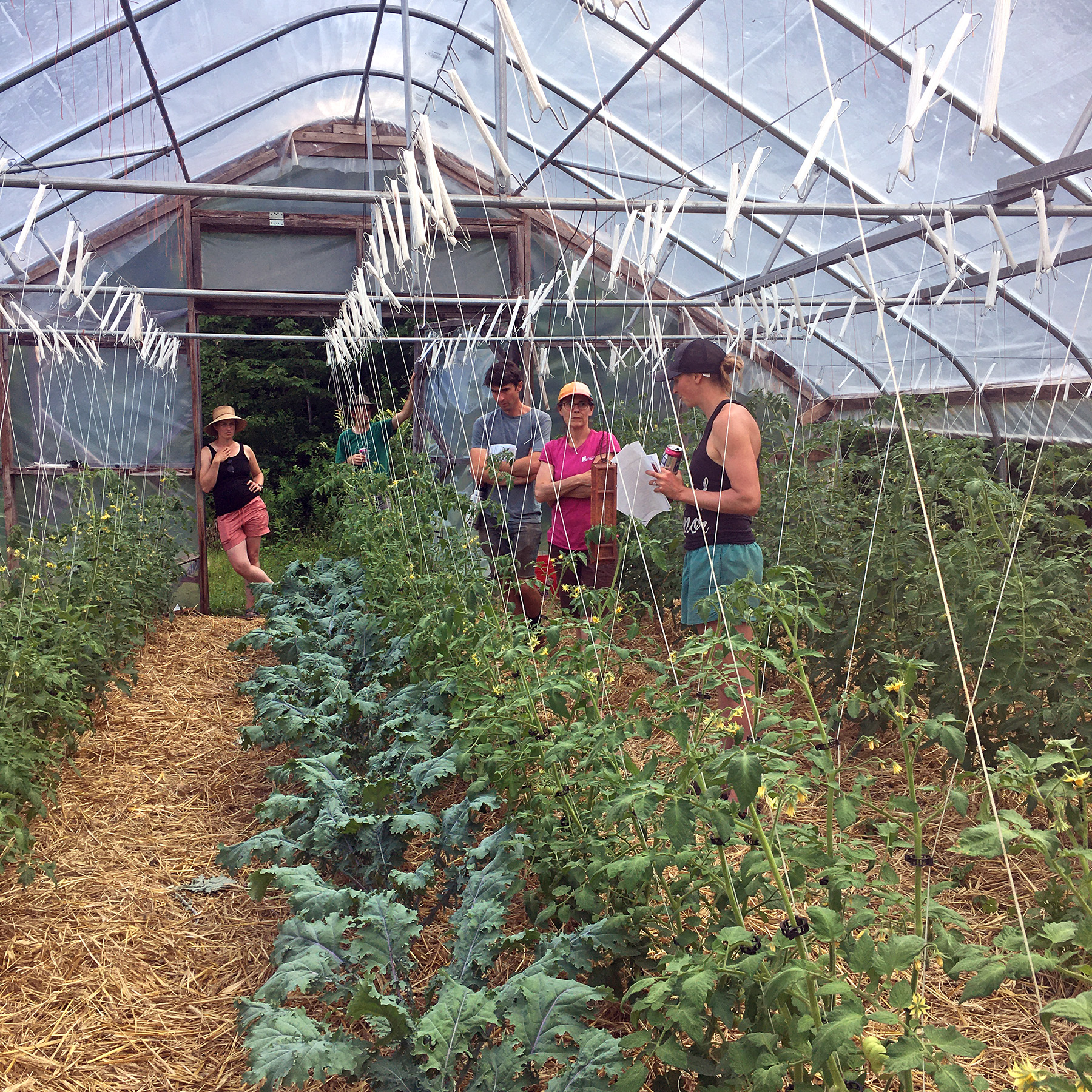 Hannah Blackmer of Fieldstone Farms is pictured with other Soil Cohort Members during a field trip to her farm