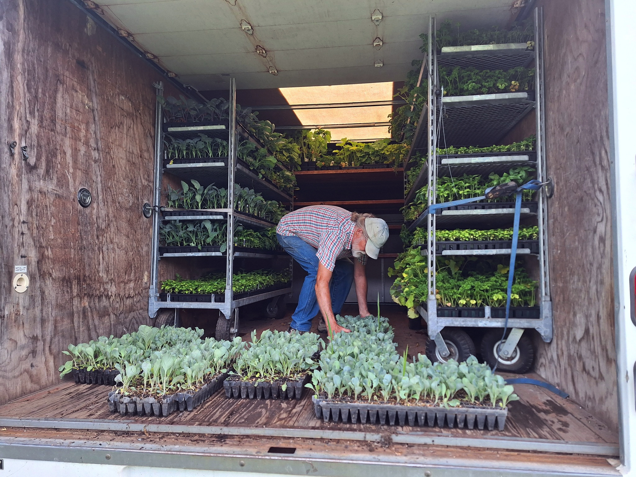 A truck is being loaded with donated seedlings destined for farms that had their crops wiped out by the July 2024 flooding