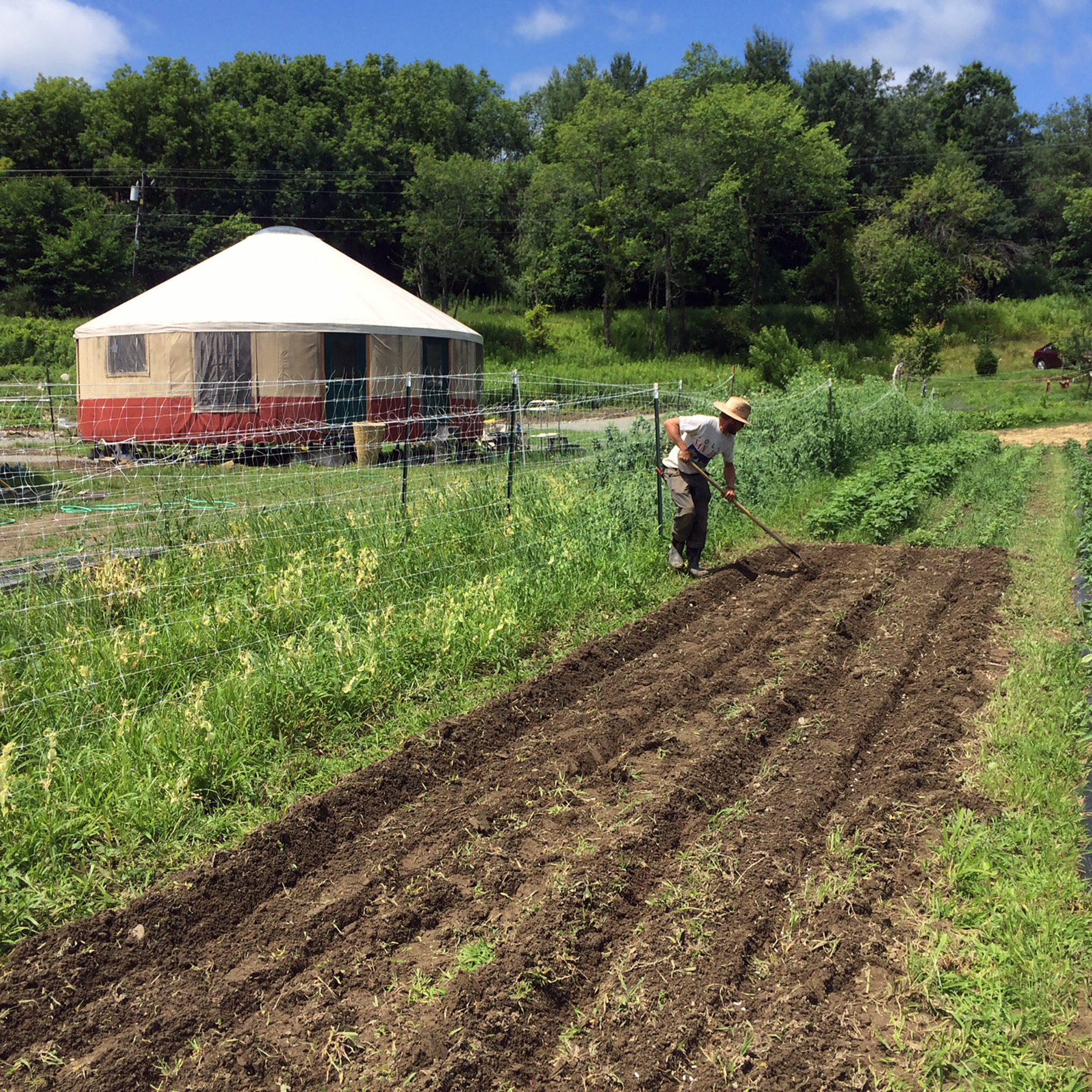 Ryan Demerest of Naked Acre Farm is pictured tending his fields