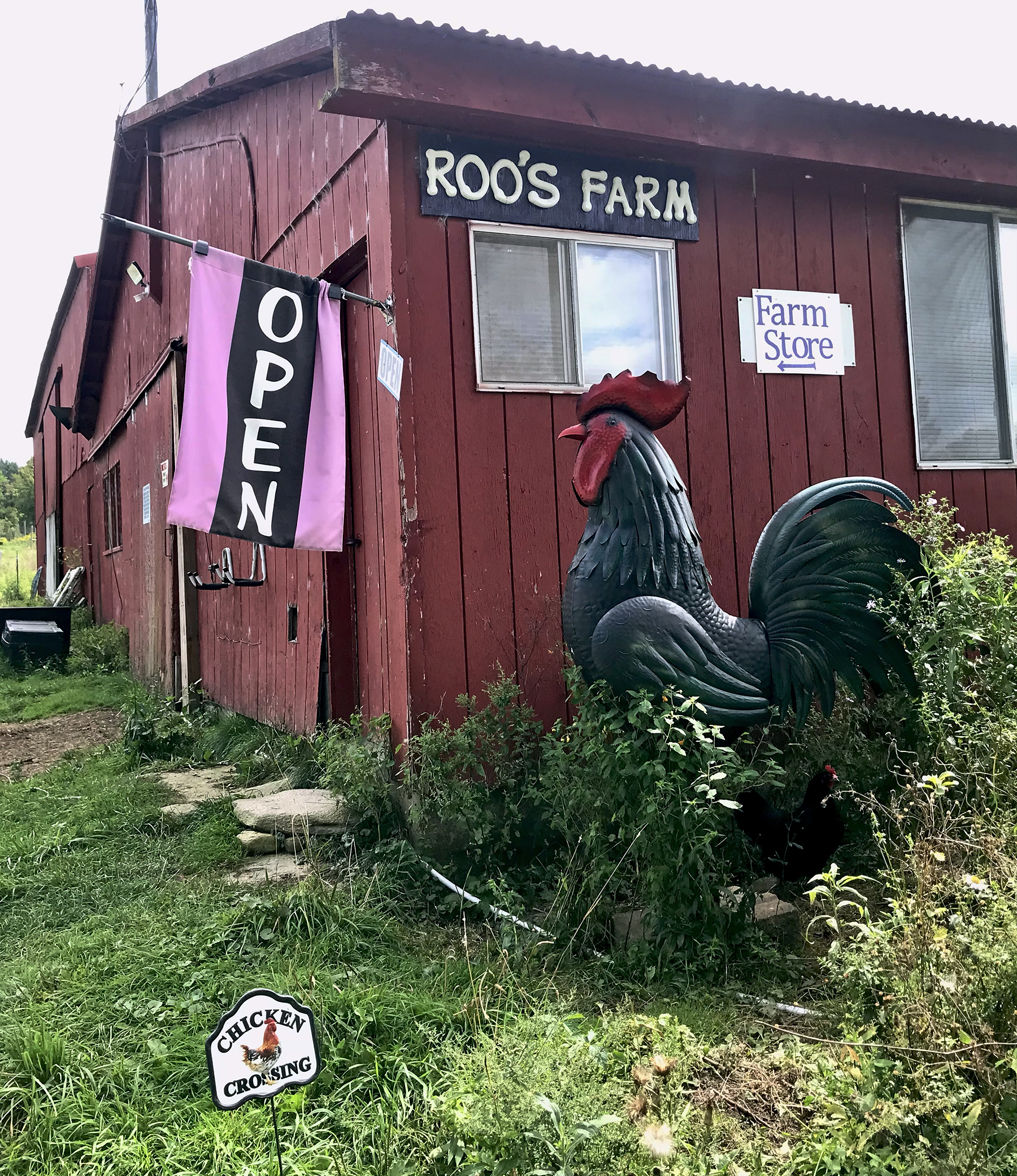 The farm store at Roo's Farm with a flag indicating that the farm stand is open and a sculpture of a hen 