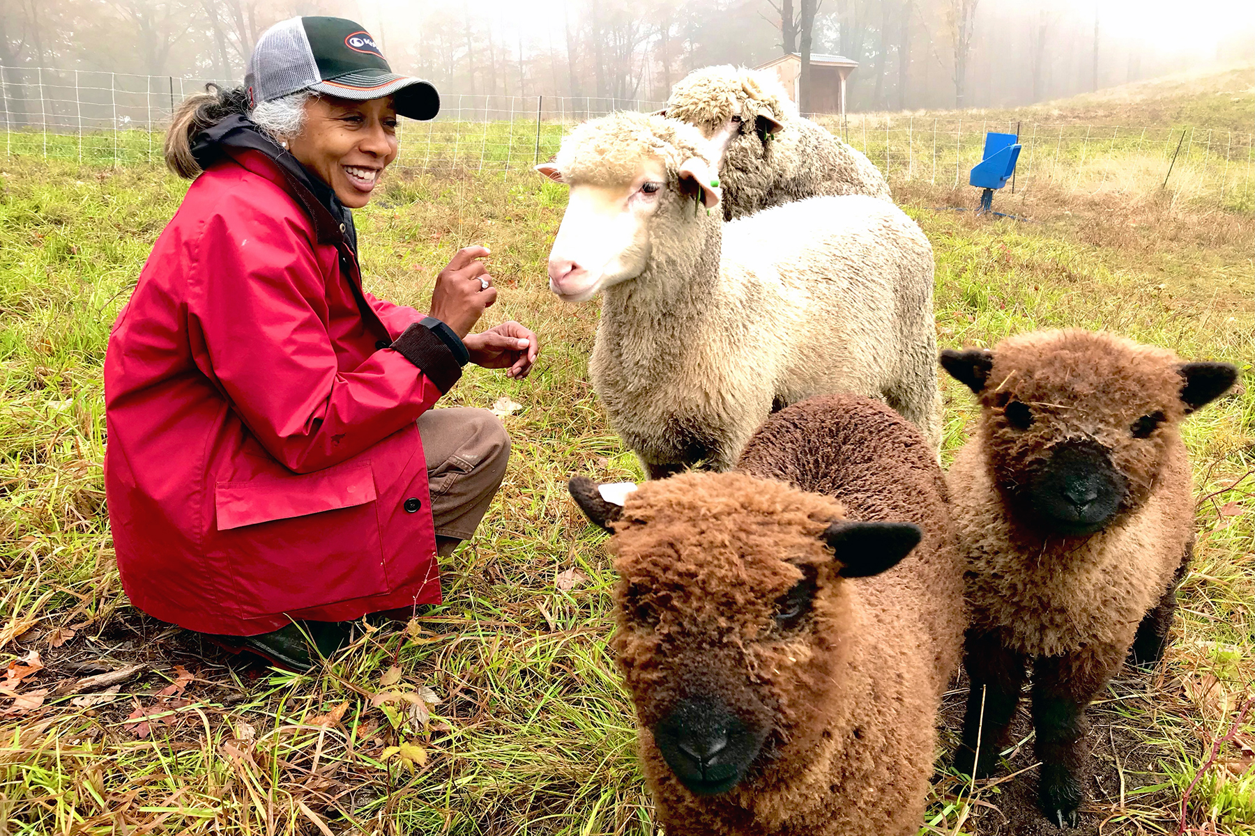 Yvette Lanneaux of Sajima Farm pictured in the pasture with her sheep