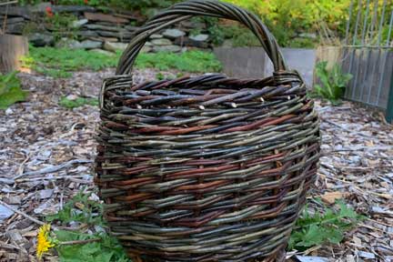 willow basket weaved with willows grown at Cloud Water Farm