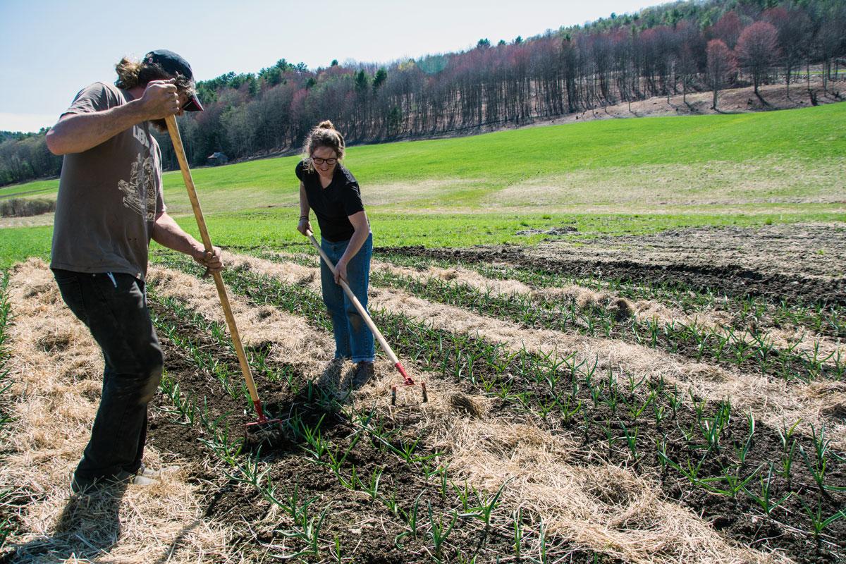 journey farmers