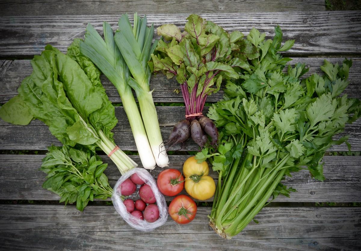 Farm Share Veggies