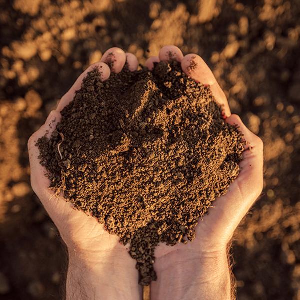 Dirt A Documentary About Saving Our Soil  Mid-America Emmy® Winner &  Public Media Award Finalist 