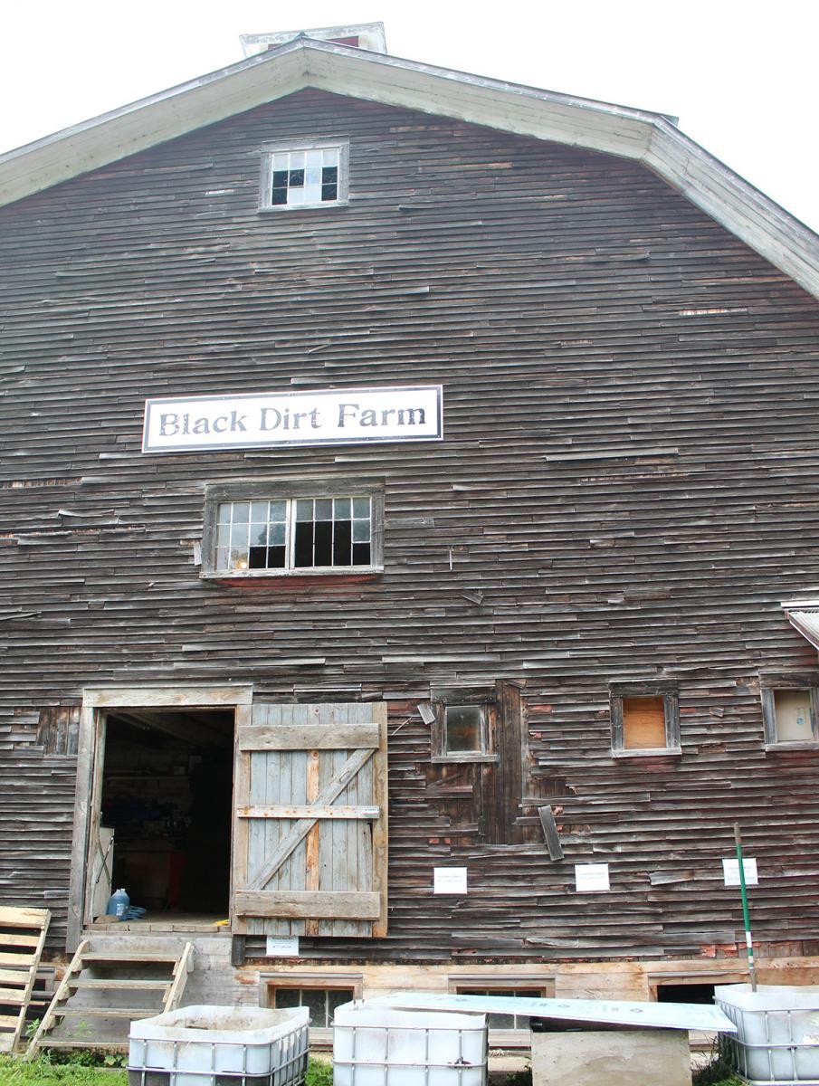 Black Dirt Farm