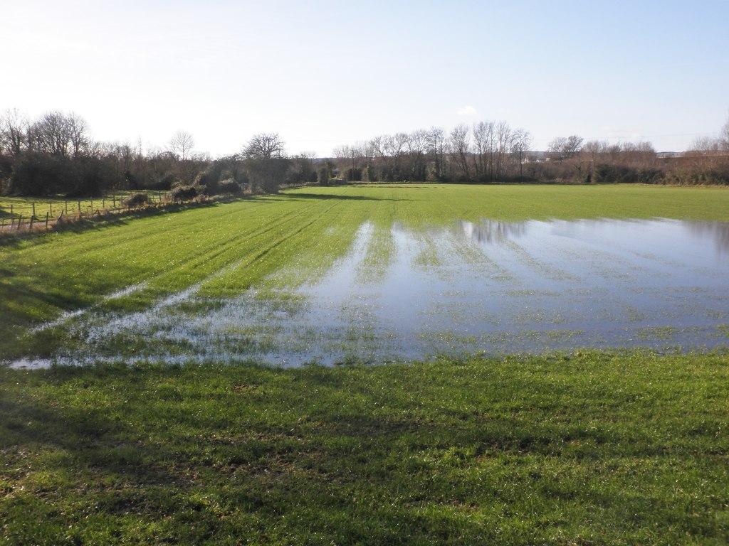 a farm field is flooded with a few inches of water.