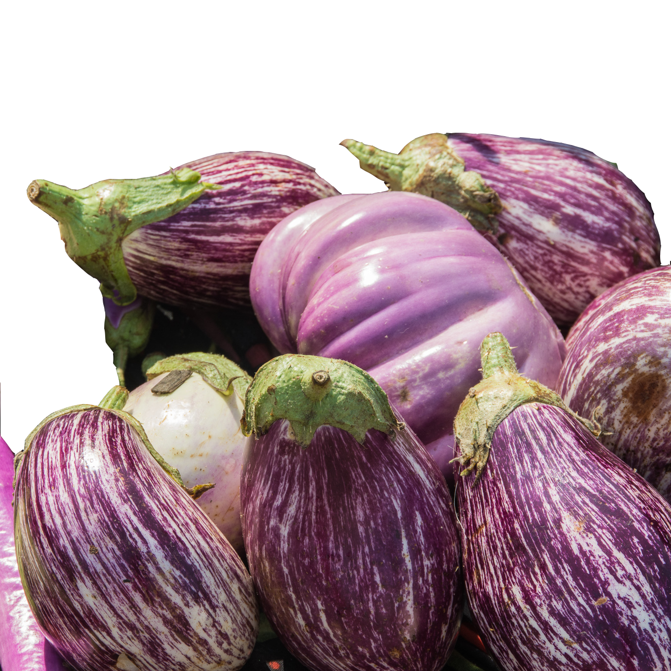 Eggplants of different varieties sit in a pile.