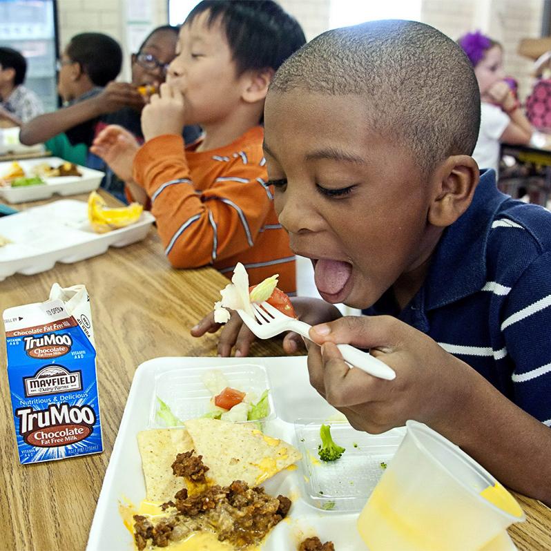 Child eating school lunch