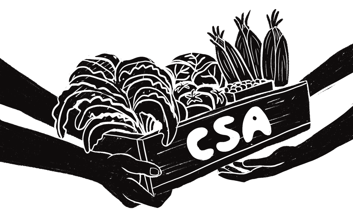 Drawing of a CSA box