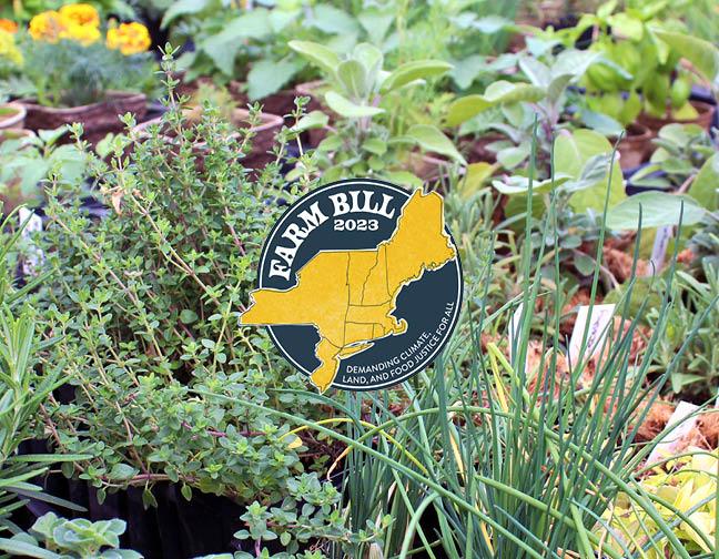 Plants at New Leaf Organics with a farm bill icon