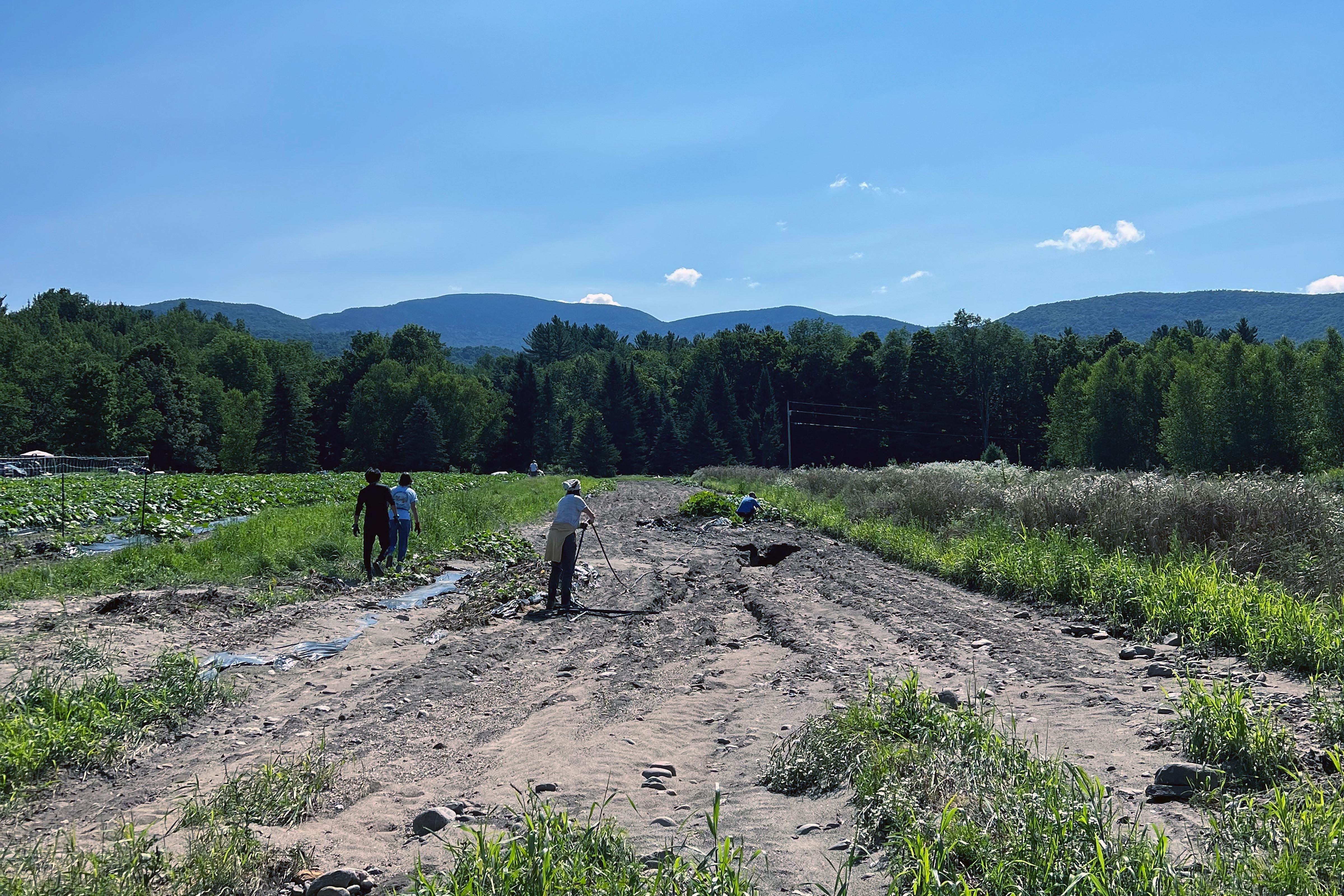 A field at Bone Mountain Farm that suffered extensive damage in the July 2024 flooding