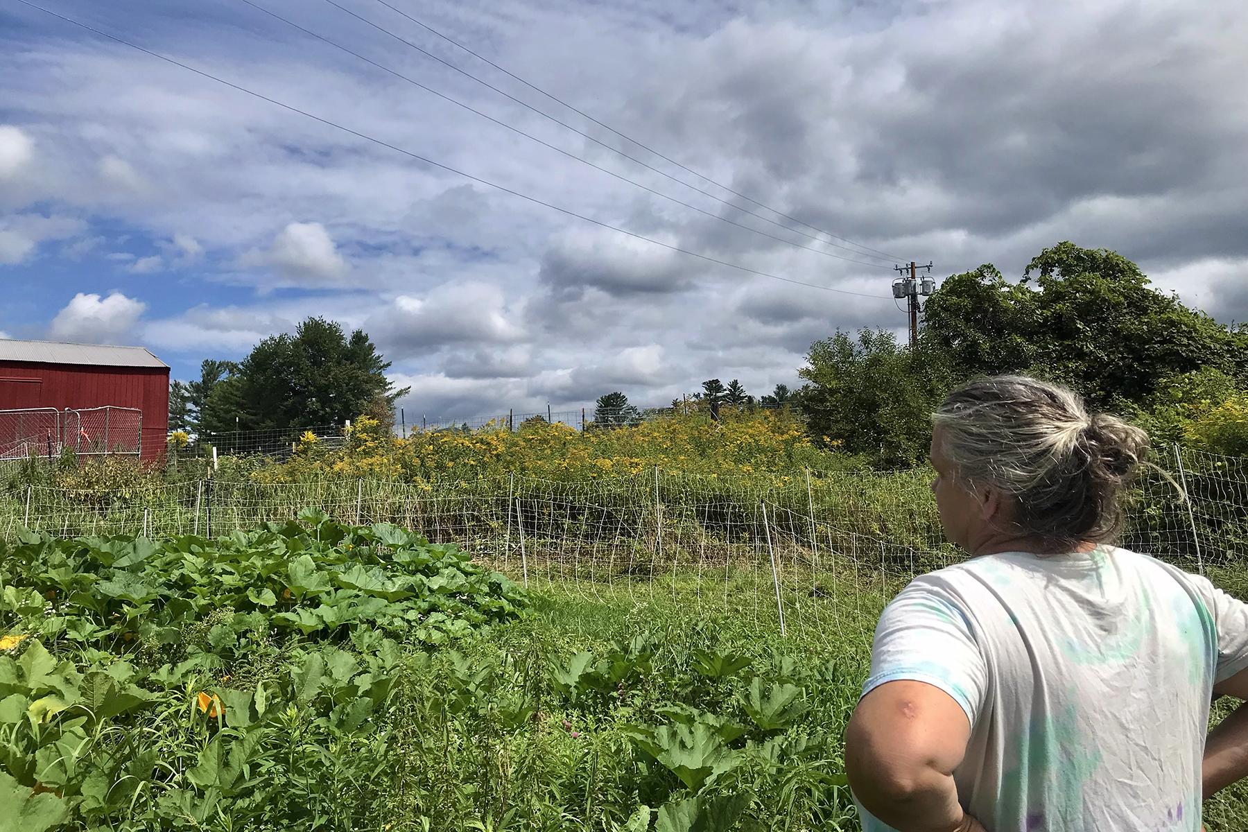 Paula Boyle of Roo's Farm stands with hands on hips, admiring a squash crop