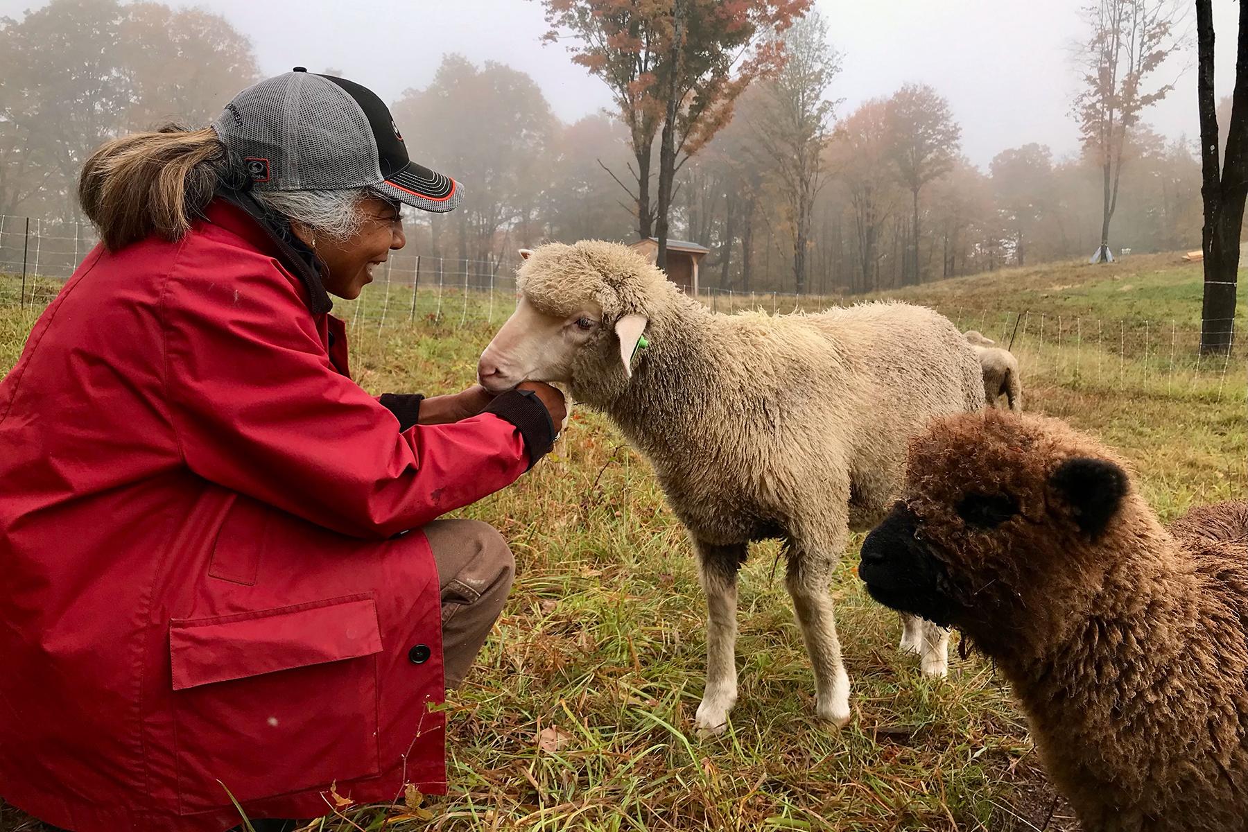 Yvette Lanneaux of Sajima Farm pictured with her sheep