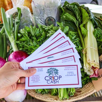 A person holds crop cash coupons in front of vegetables