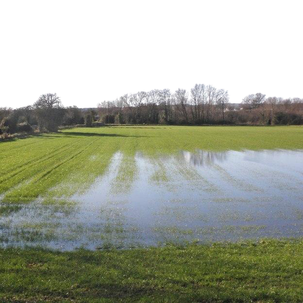 Flooded field