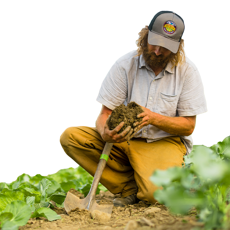 A farmer kneels in a field, observing a chunk of soil among crop rows.