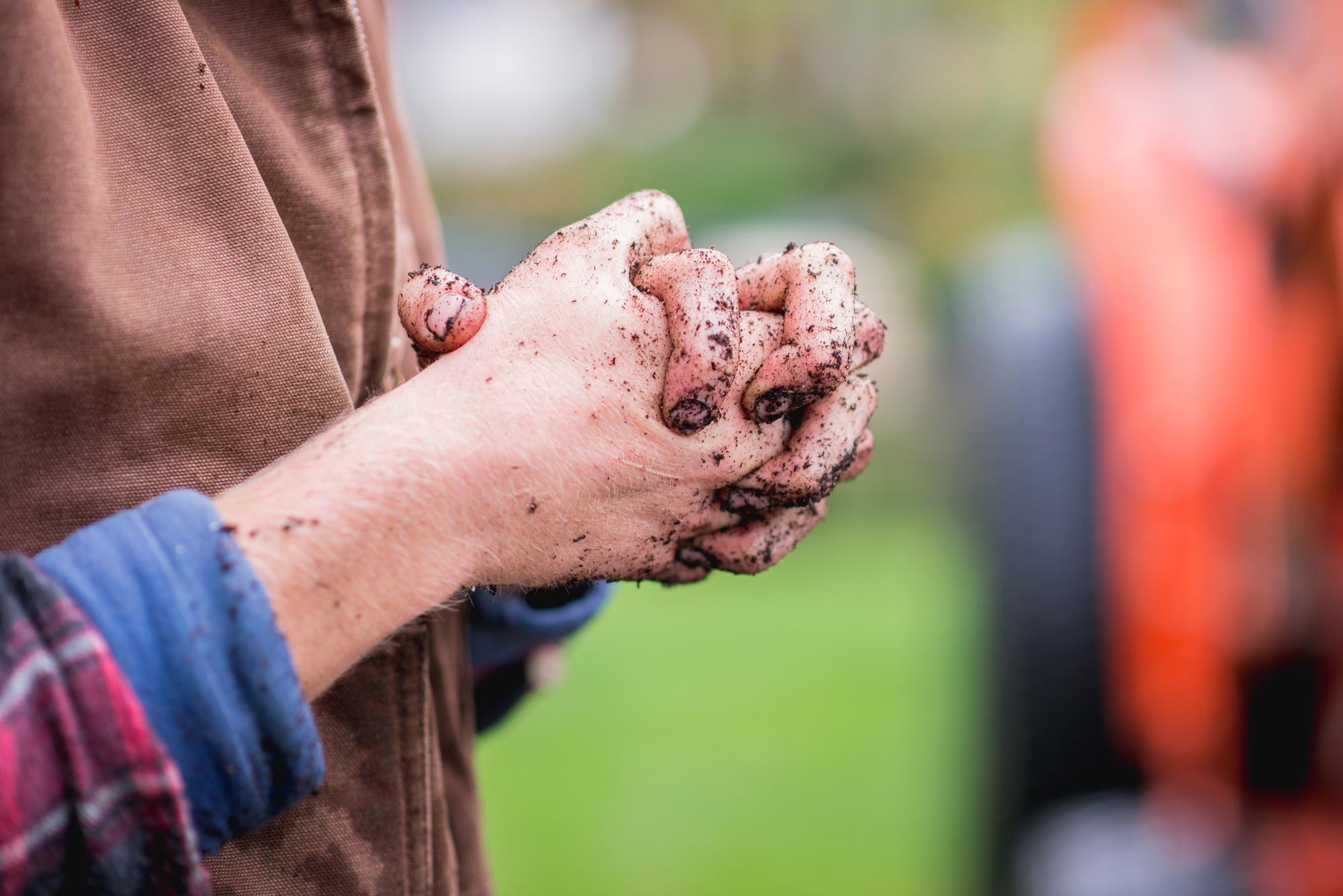 A farmers soil-covered, clasped hands