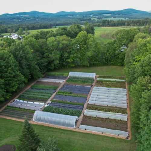 Photo of small farm field taken from above