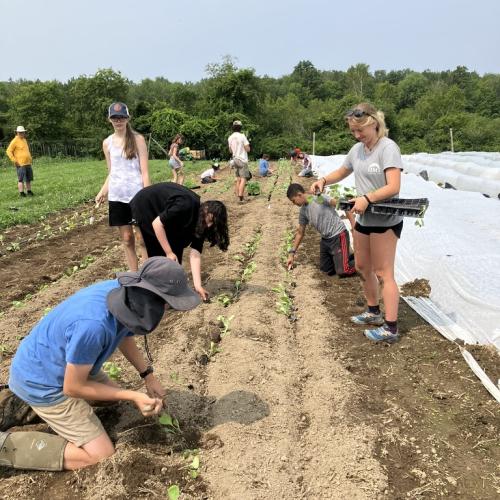 Erickson Fields gardens and youth programs planting for food pantries