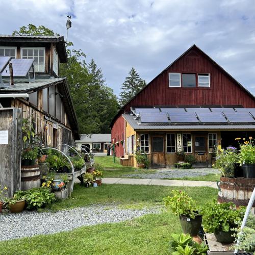 farmstand and Hello Café in the summer
