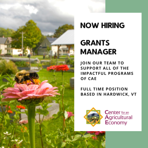 Image shows bee on a pink flower with flowers and a pavilion in the background. Text says Now Hiring Grants Manager Join our team to support all of the impactful programs of CAE full time position in Hardwick VT