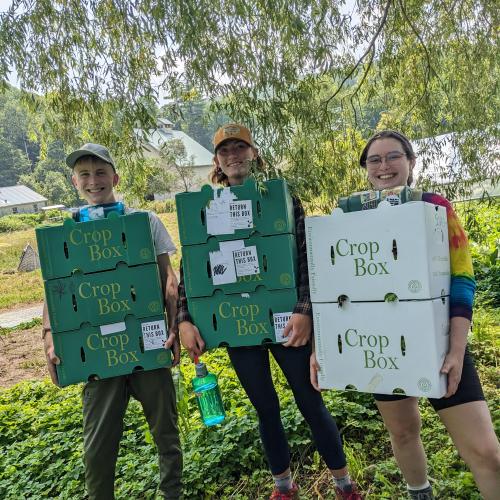3 farmers holding boxes of veggies under a willow tree