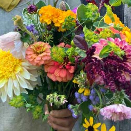 a colorful bouquet of fresh-cut flowers at By Hand Farm