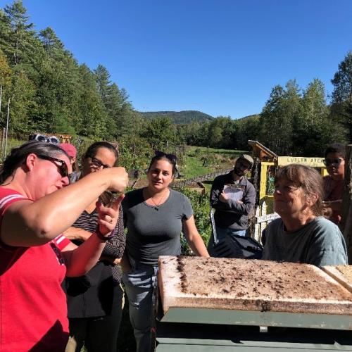Track 1 students attend in-person session(s) to get hands-on experience with backyard composting systems with instructor Natasha Duarte, director of the Composting Association of Vermont.