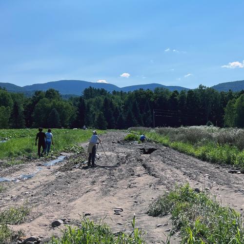 A field at Bone Mountain Farm that suffered extensive damage in the July 2024 flooding