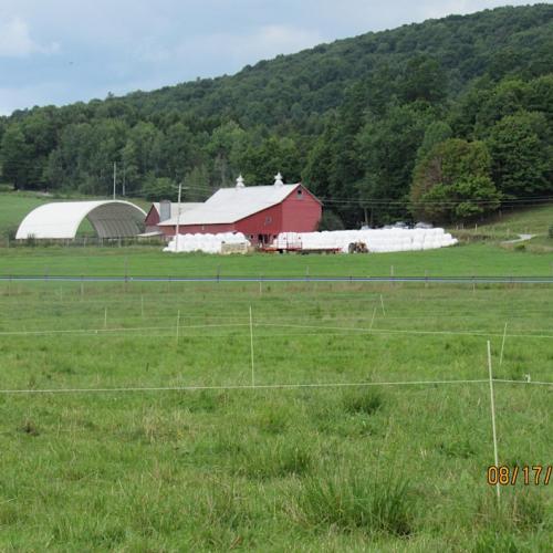 Organic Dairy Farm Northern Vermont