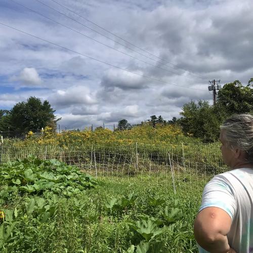 Paula Boyle of Roo's Farm stands with hands on hips, admiring a squash crop