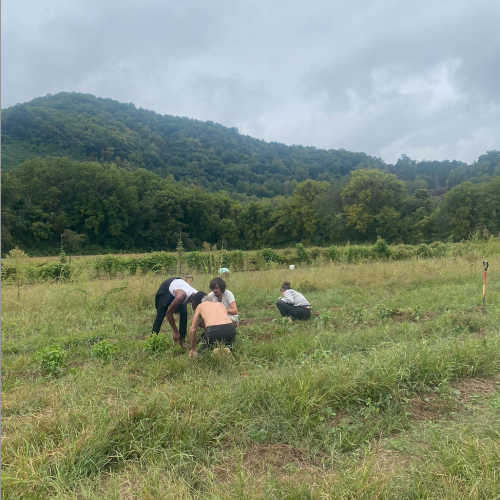 farming in North Carolina