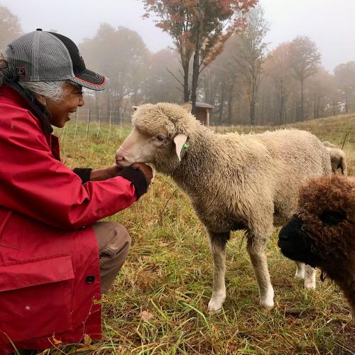 Yvette Lanneaux of Sajima Farm pictured with her sheep