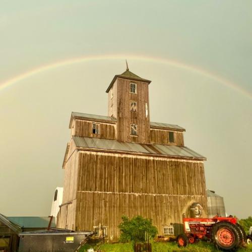 Rainbow over grey barn