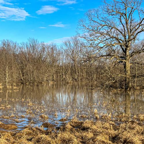 flooded farm fields in the Lemon Fair River valley in Weybridge, VT