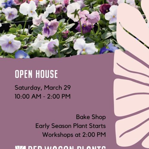 A purple flyer with a picture of colorful pansies at the top announcing the open house on Saturday, March 29th from 10 - 2 at Red Wagon Plants