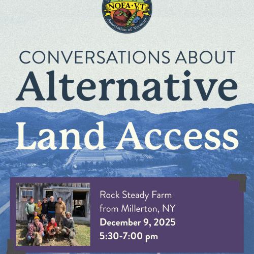 A graphic depicting blue mountains with text above reading "Conversations About Alternative Land Access" and text in a purple box listing the event details